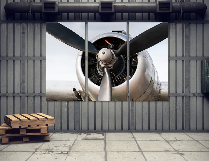 Airplane Propeller Blades Canvas Art #3021