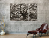 Branches Canvas Print #7581