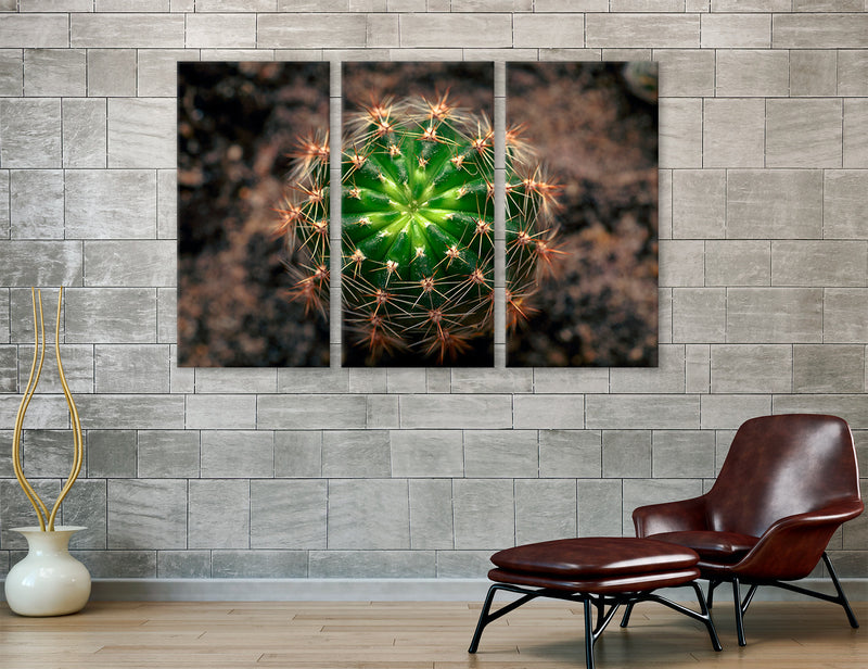 Cactus Canvas Print #7565