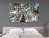 Hawaiian Palms Canvas Print #7571