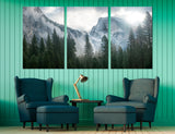 Forest Canvas Print #7145