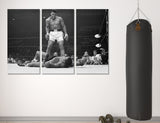 Muhammad Ali Canvas Print #4001