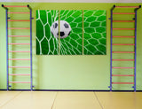 Soccer Gift Canvas Print #4123