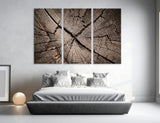 Stump Cut Canvas Print #7574