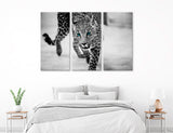 Blue Eyed Cheetah Canvas Print #8215