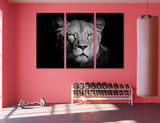 Lioness Art Canvas Print #8233