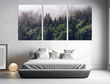 Misty Forest Canvas Print #7224
