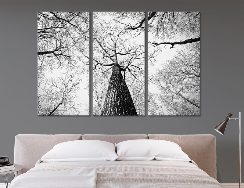 Tree Branch Canvas Print #6619
