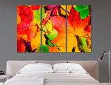 Fall Foliage Canvas Print #1206