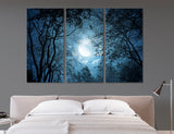 Moon with Branches Canvas Print #6047