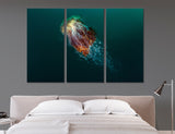 Jellyfish Canvas Print #8096