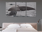 Whale Tail Canvas Print #8143