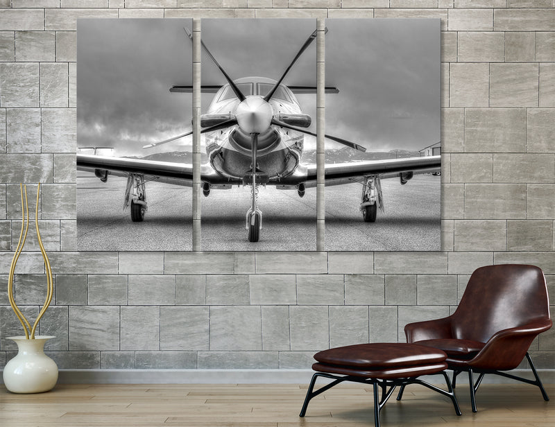 Silver Plane Canvas Print #3008