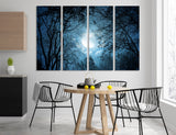 Moon with Branches Canvas Print #6047