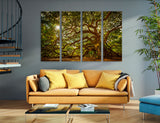 Sunlight Through Trees Canvas Print #7567