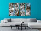 Hawaiian Palms Canvas Print #7571