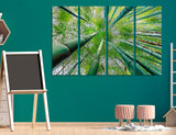 Bamboo Canvas Print #7231