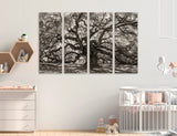 Branches Canvas Print #7581