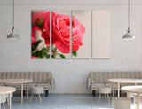 Rose Flower Canvas Print #7562