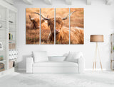Highland Cattle Art Canvas Print #8203