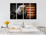Us Eagle Flag Canvas Print #8212