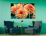 Buy Chrysanthemums Canvas Print #7567