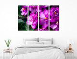 Violets Canvas Print #7560