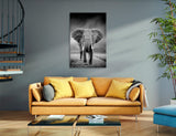 Black White Elephant Canvas Prints #8238