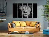 Lioness Art Canvas Print #8233