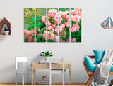 Pink Roses Canvas Print #7561