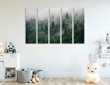 Misty Forest Landscape Canvas Print #7577