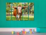 Horned Cow Canvas Print #8196