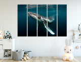 Humpback Whale Canvas Print #8071