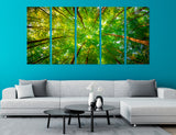 Treetops Canvas Print #7207