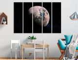 Moon in Color Canvas Print #6049