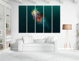 Jellyfish Canvas Print #8096