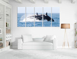 Killer Whales Canvas Print #8144