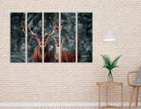 Deer Couple Canvas Print #8210