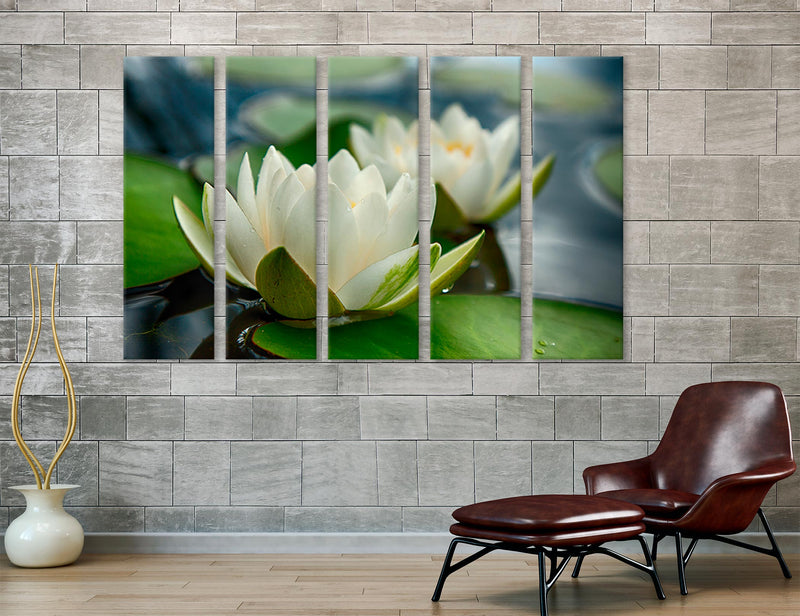 Waterlily Canvas Print #7559