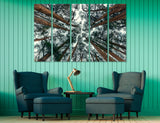 Trees Wall Art Canvas Print #7236