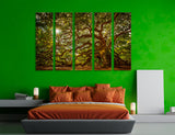 Sunlight Through Trees Canvas Print #7567