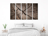 Stump Cut Canvas Print #7574