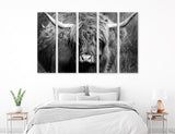 Highland Cow Canvas Print #8216