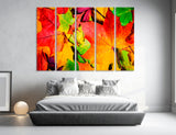 Fall Foliage Canvas Print #1206