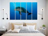 Dolphin Decor Canvas Print #8125