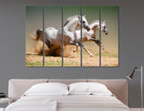 Two Horses Canvas Print #8110