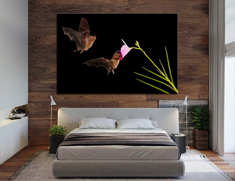 Pair of Bats Canvas Print #8057