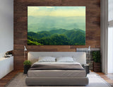 Forest in The Mountains Canvas Print #7026