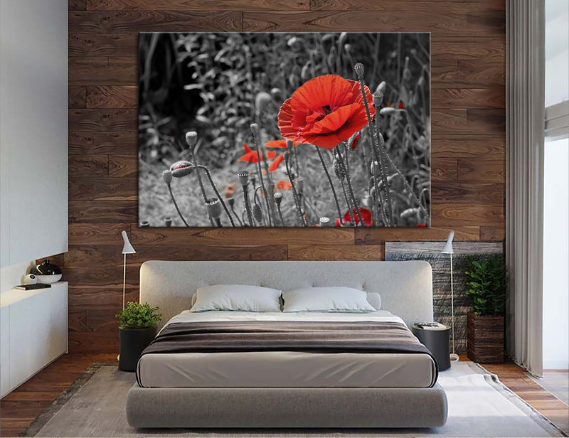 Poppy Flower Canvas Print #7532