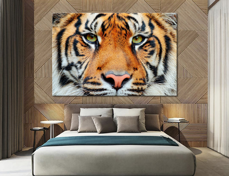 Tiger Head Canvas Print #8003